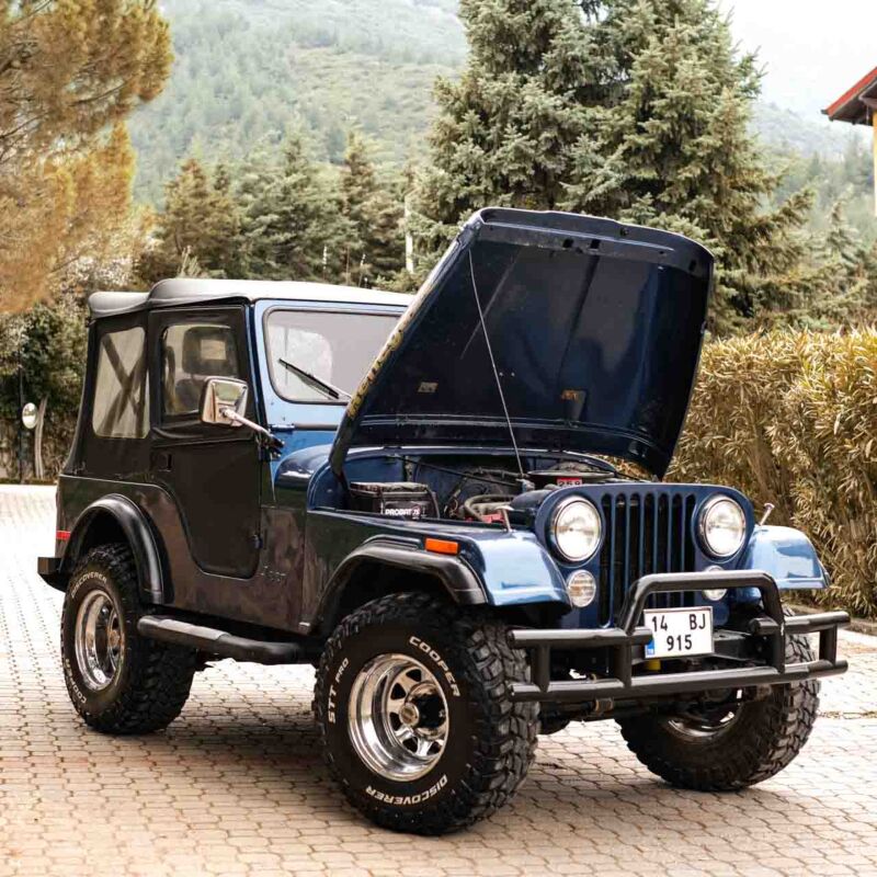 Jeep Renegade 1978