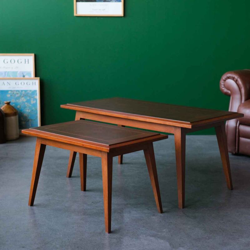 Mid-Century Modern Çift Sehpa DAK41