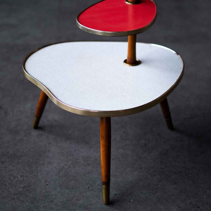 Mid Century Modern Sehpa TEW21