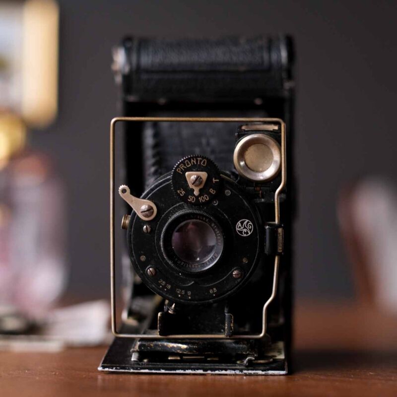 Rollette Körüklü Fotoğraf Makinesi FOV31 