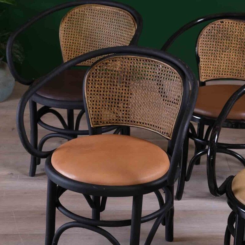 Vintage Hazeranli Thonet Sandalye THNT03