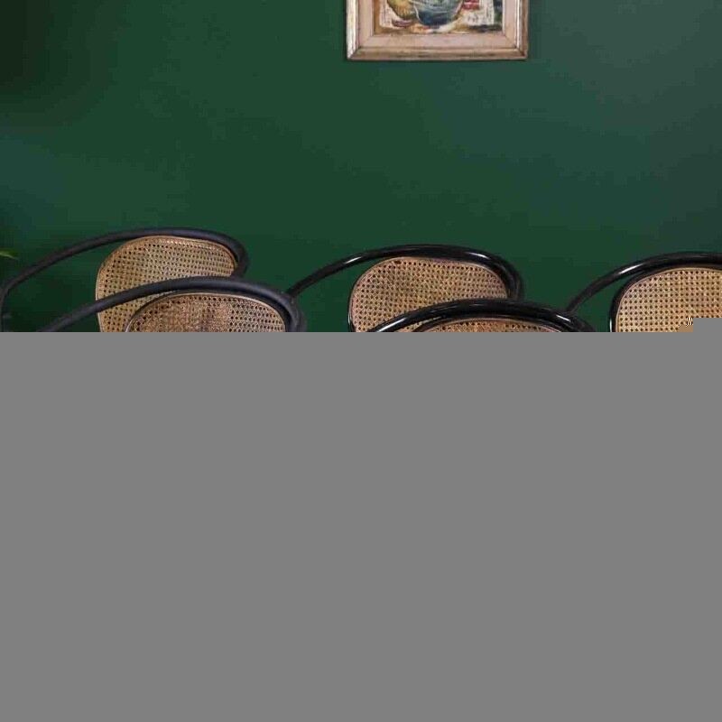 Vintage Hazeranli Thonet Sandalye THNT05