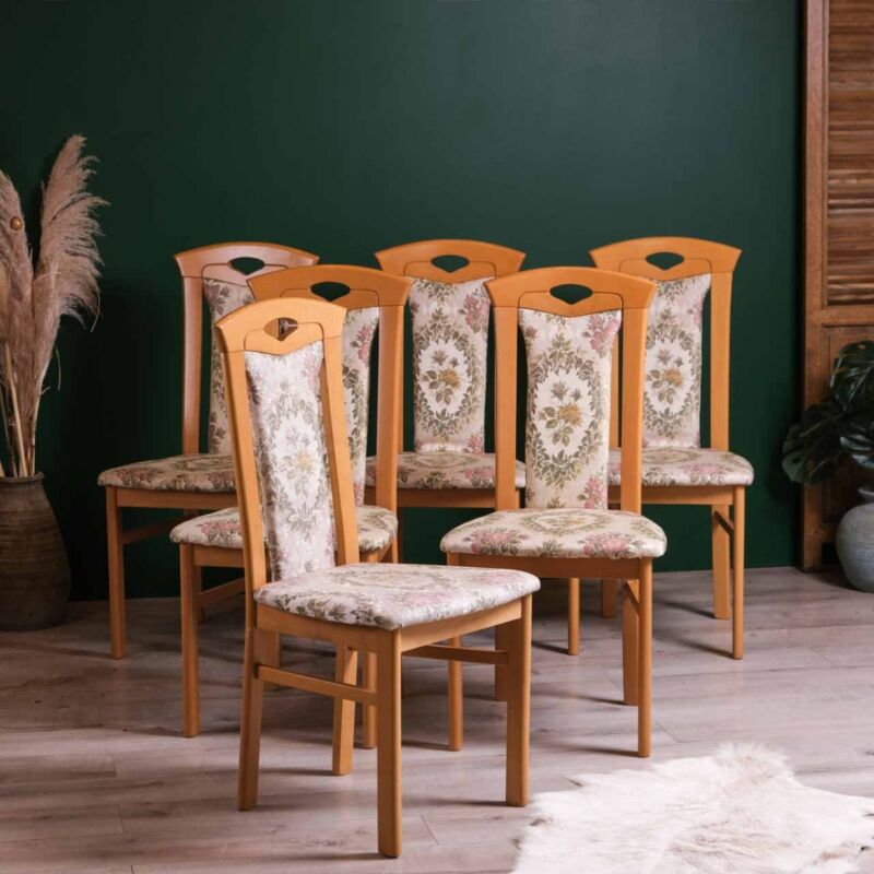Vintage Sandalye Takımı (6 Adet) FPG8N