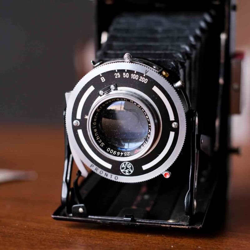 Welta Perle Körüklü Fotoğraf Makinesi FOV26