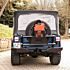 Jeep Renegade 1978