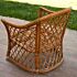 Rattan Koltuk VAV66
