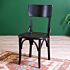 Vintage Thonet Sandalye UG35